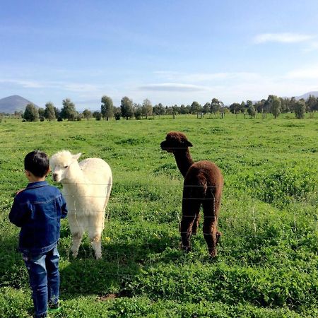 Taras Richmond Farmstay Campania Buitenkant foto