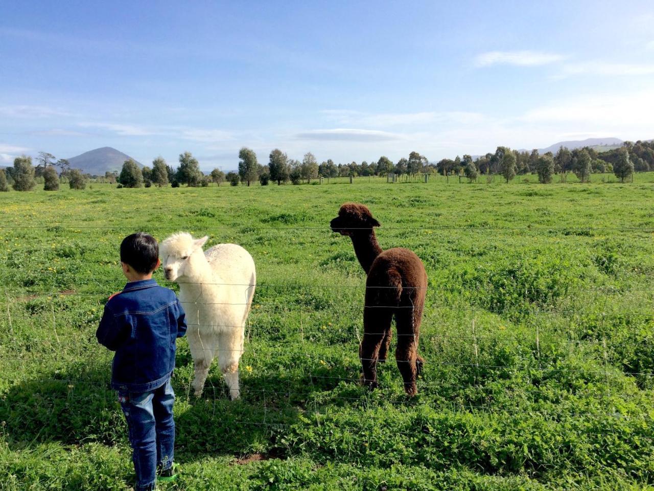 Taras Richmond Farmstay Campania Buitenkant foto